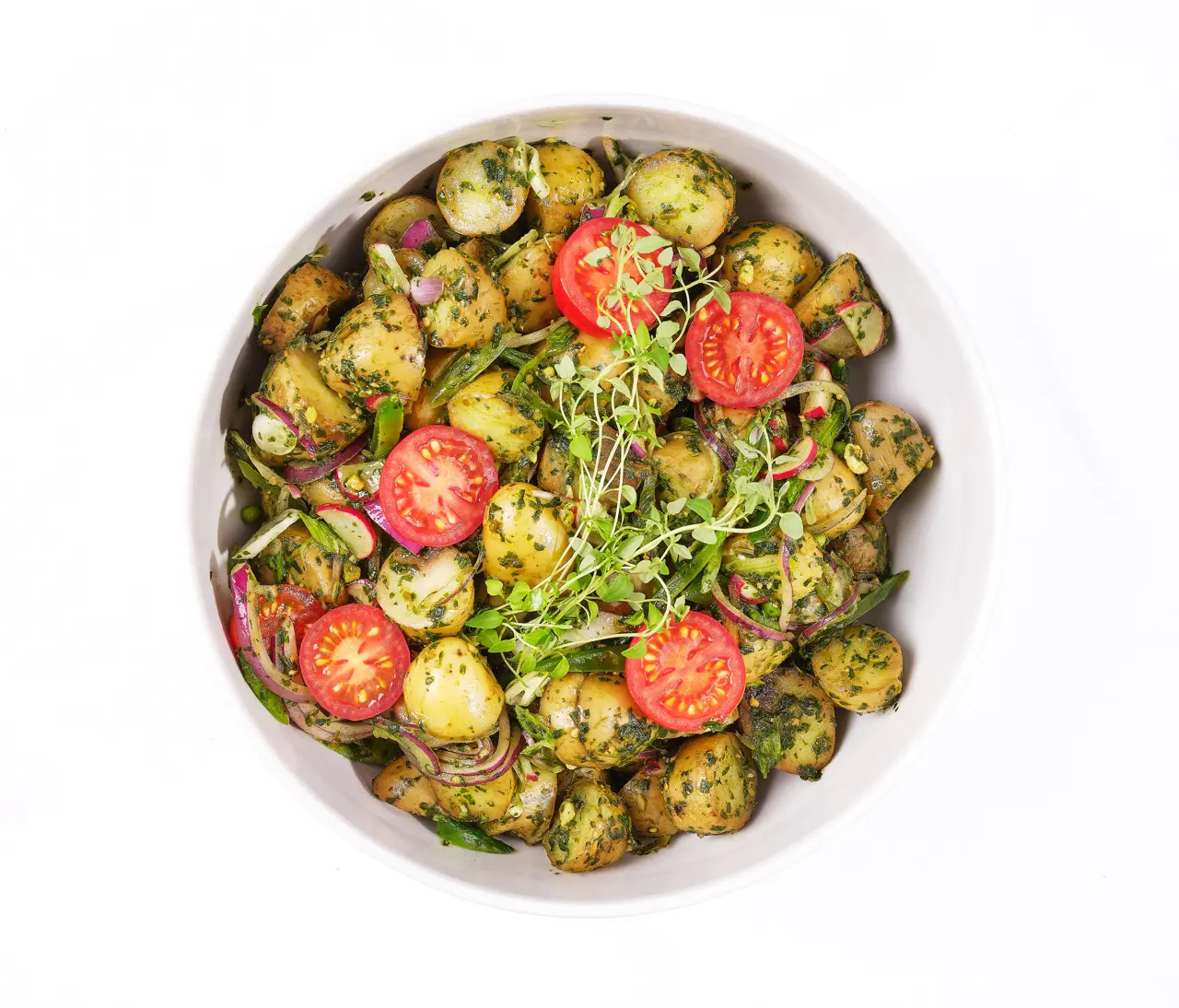 496097026 1246759280792393 8884048316459758735 N